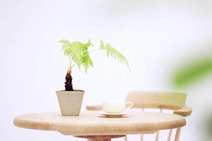 中古家具を売るのも買うのも思うがままに