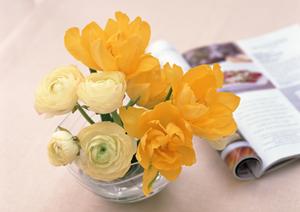 人気が高いカリモク家具のイベント情報